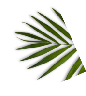 image 16